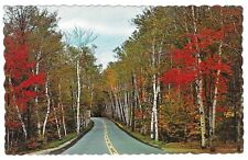 Vintage New Hampshire Chrome Postcard Shelburne Birches Route #2 between Gorham picture