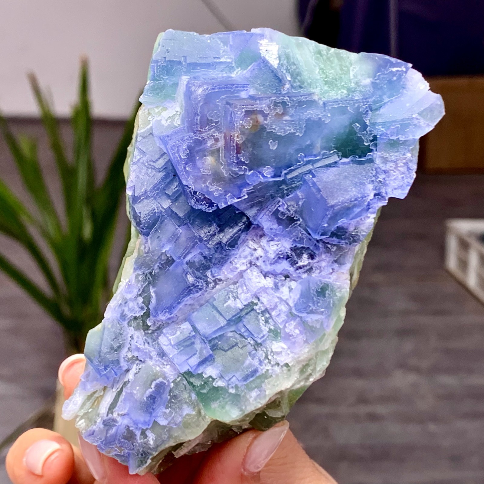 457G  Natural blue green fluorite cubic mineral crystal sample/China