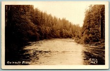 RPPC Quinault River Quinault Washington WA Ellis Photo 459 UNP Postcard F16 picture