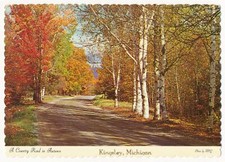 Vintage Postcard Grettings from Kingsley, Michigan picture