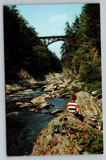 Quechee Gorge Vermont VT Ottauquechee River Vintage Postcard picture