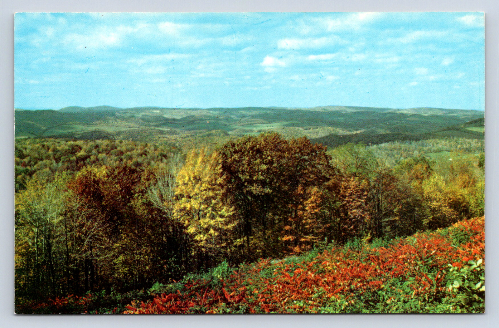 Vintage Postcard Mount View Fairfax Sand Plant Virginia