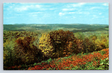 Vintage Postcard Mount View Fairfax Sand Plant Virginia picture