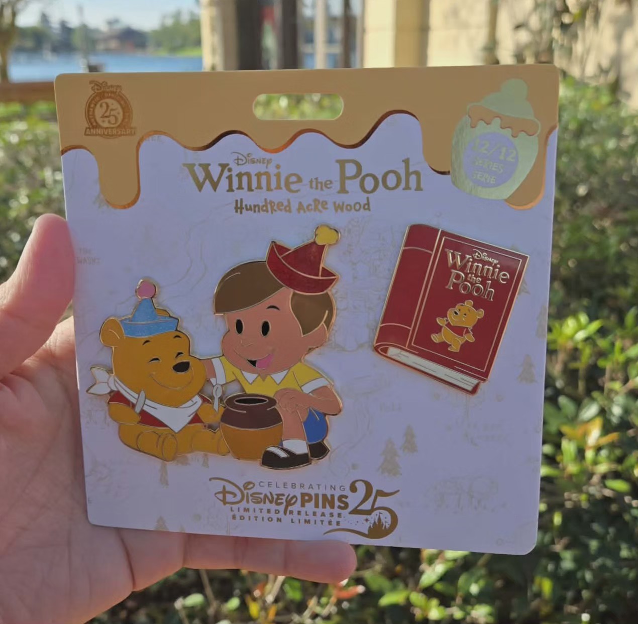 Winnie the Pooh and Christopher Robin Pin Set Hundred Acre Wood Series ...