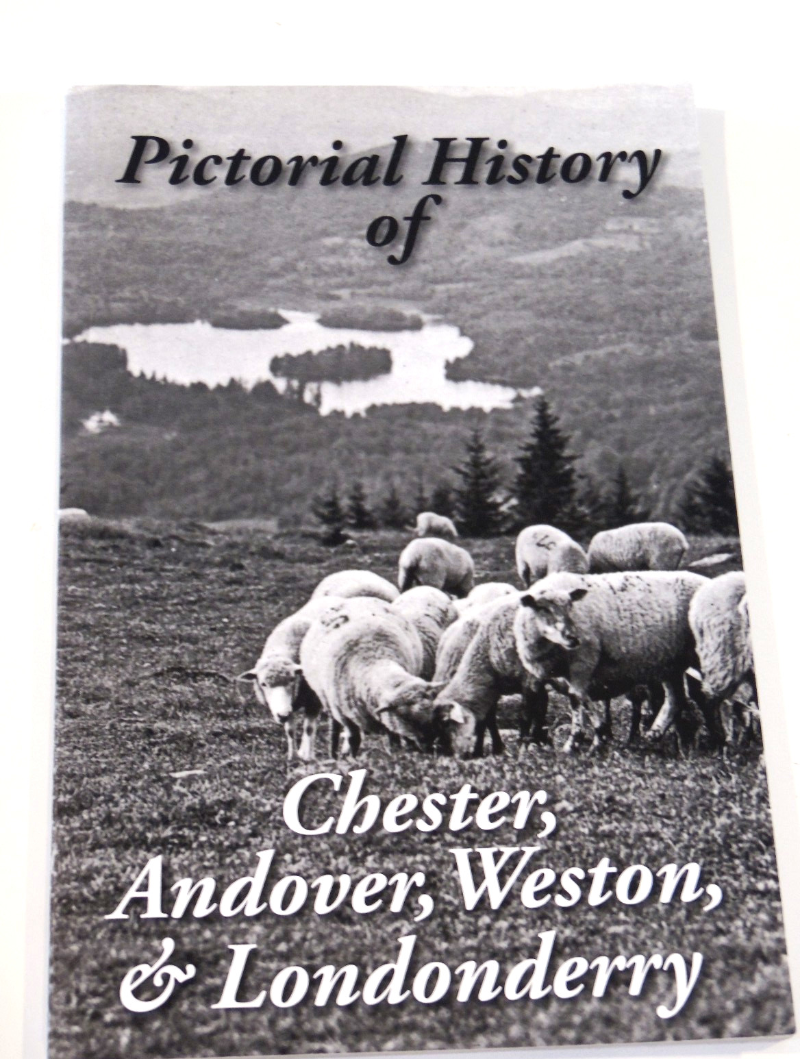 Pictorial History of Chester Andover Weston Londonderry Vermont History PB nice Pictorial History of Chester Andover Weston Londonderry Vermont History PB nice