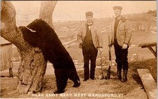BEAR HUNTING PHOTO : MEN WITH RIFLE & AXE : WEST WARDSBORO VERMONT : RPPC 1909 picture