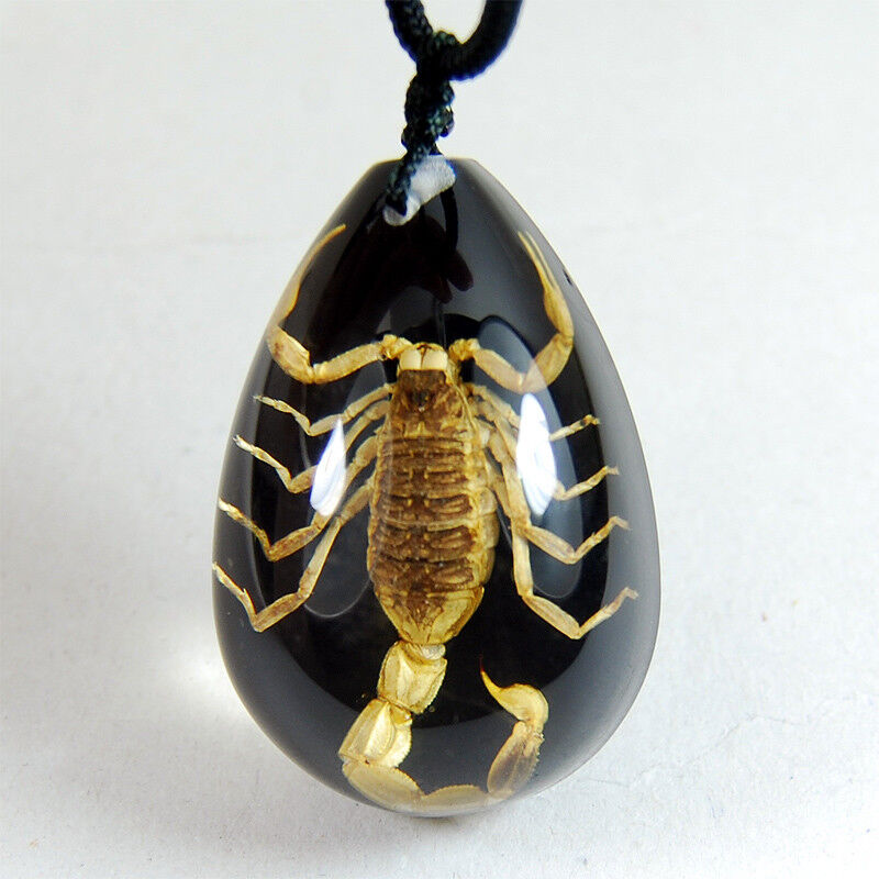NEW REAL BLACK GOLDEN SCORPION LUCITE NECKLACE PENDANT INSECT JEWELRY TAXIDERMY