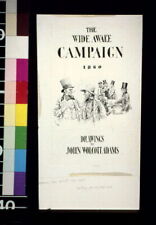 The Wide Awake Campaign,1860,Presidential Election,John Wolcott Adams,1912 picture