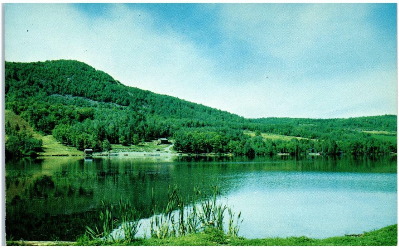 Vintage Aroostook County Maine Presque Isle Quaggy Joe Unused Postcard