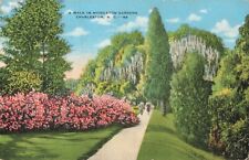 Charleston SC South Carolina, A Walk in Middleton Gardens, Vintage Postcard picture