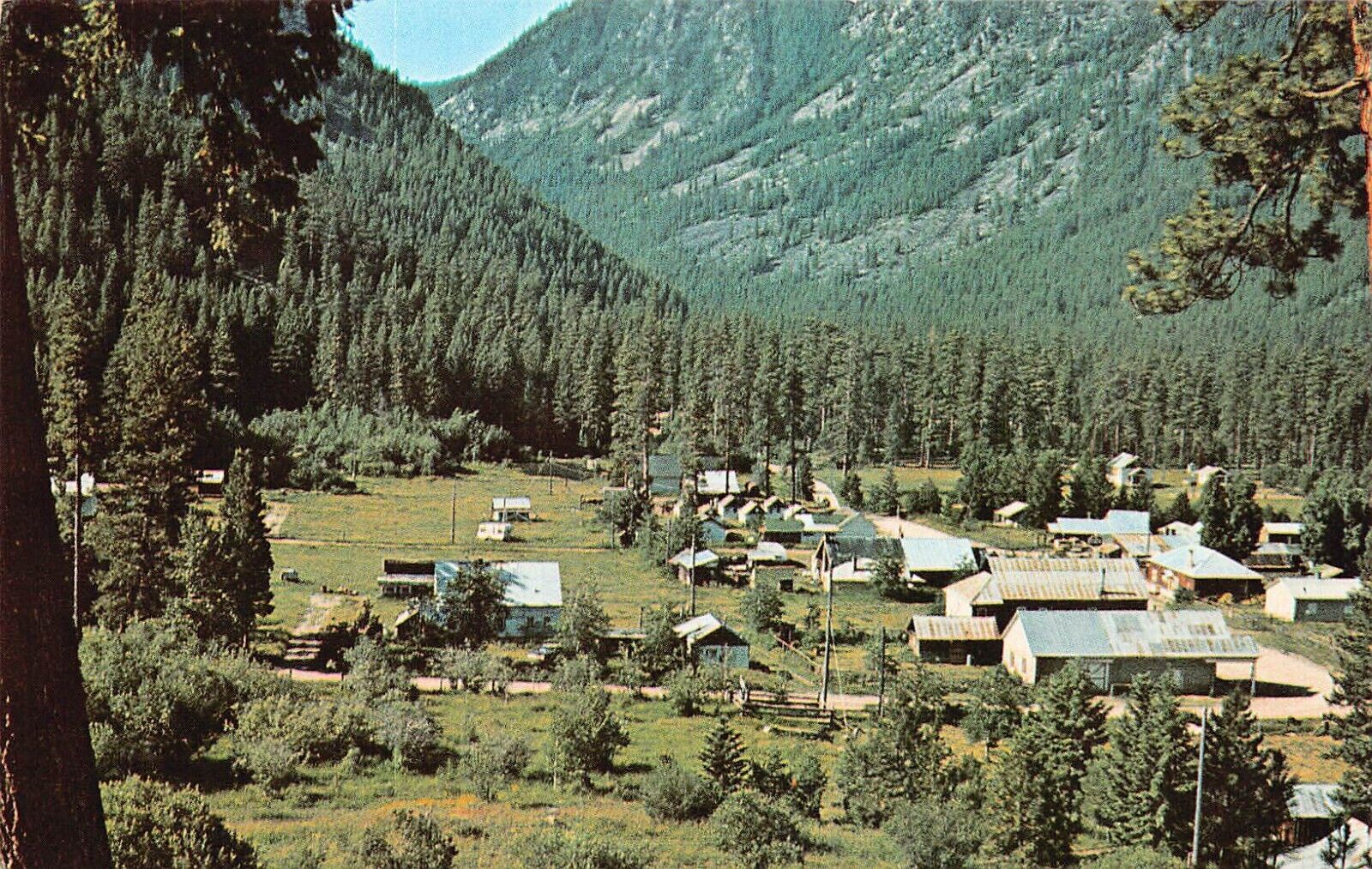 Yellow Pine ID Idaho Salmon River Valley County 1960s Homestead Vtg Postcard A57