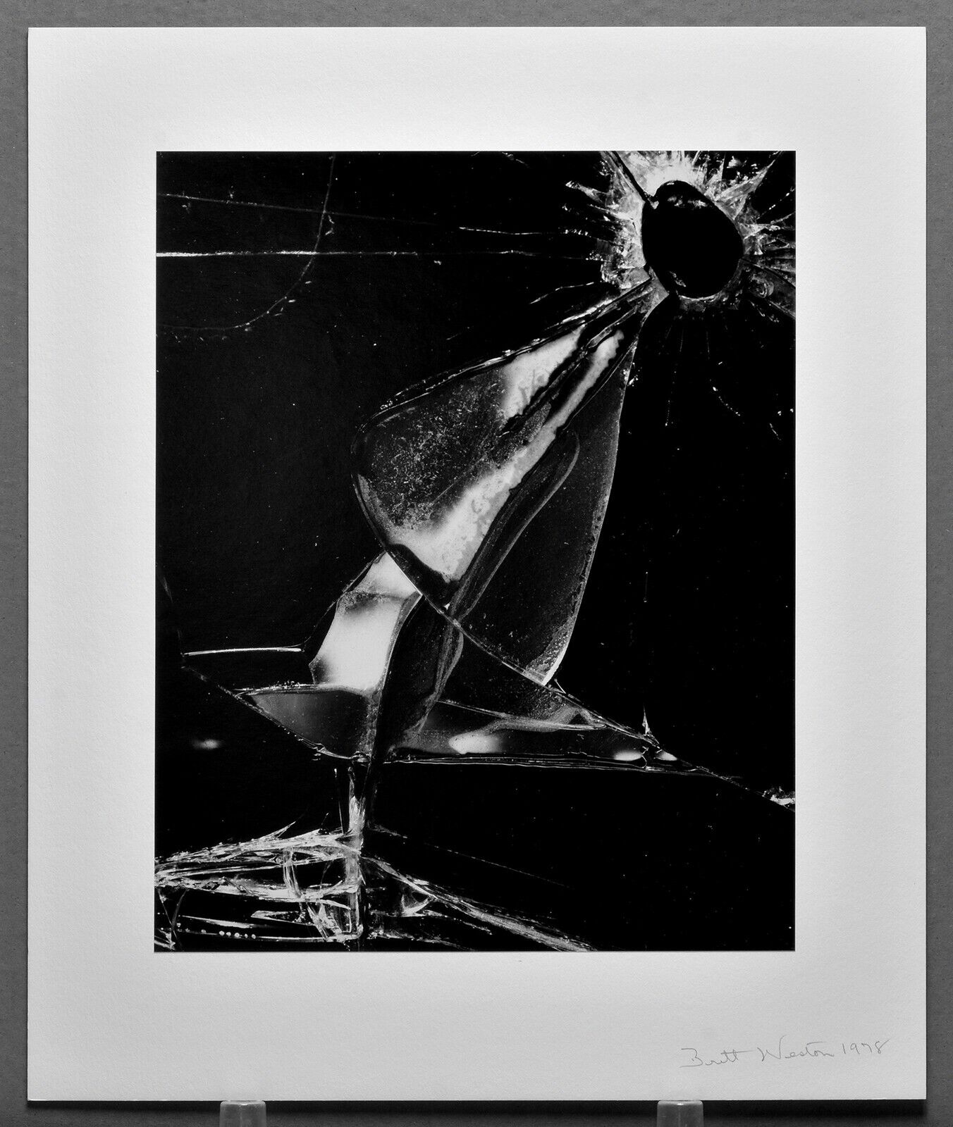 Brett Weston 1978 \