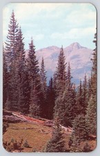 Sanborn Souvenir Postcard Mt. Holy Cross Shrine Pass Colorado Postmarked 1958 picture
