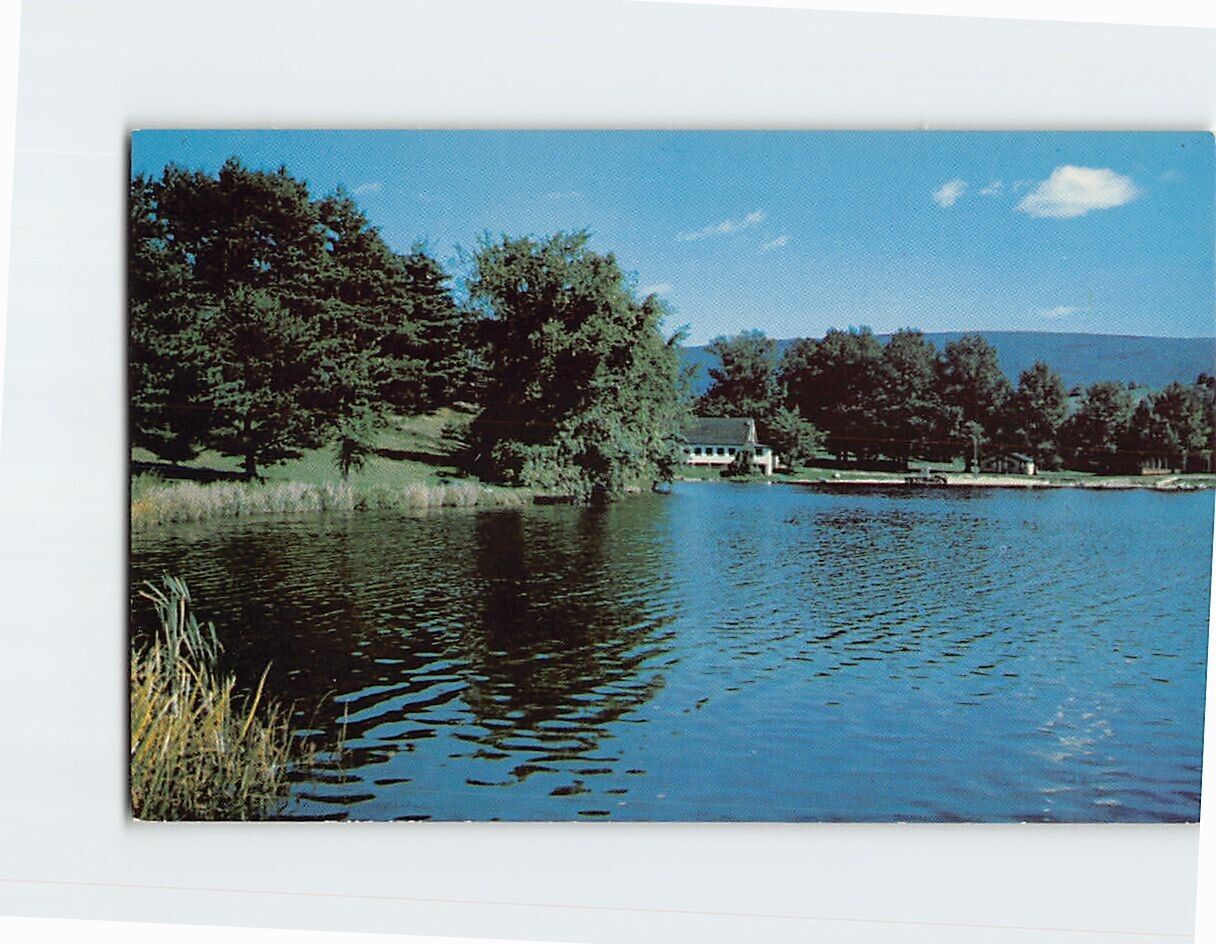 Postcard Lake Shaftsbury Shaftsbury Vermont USA
