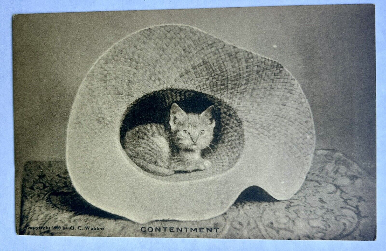 Kitten In A Hat. 1909 OC Walden. Vintage Cat Postcard