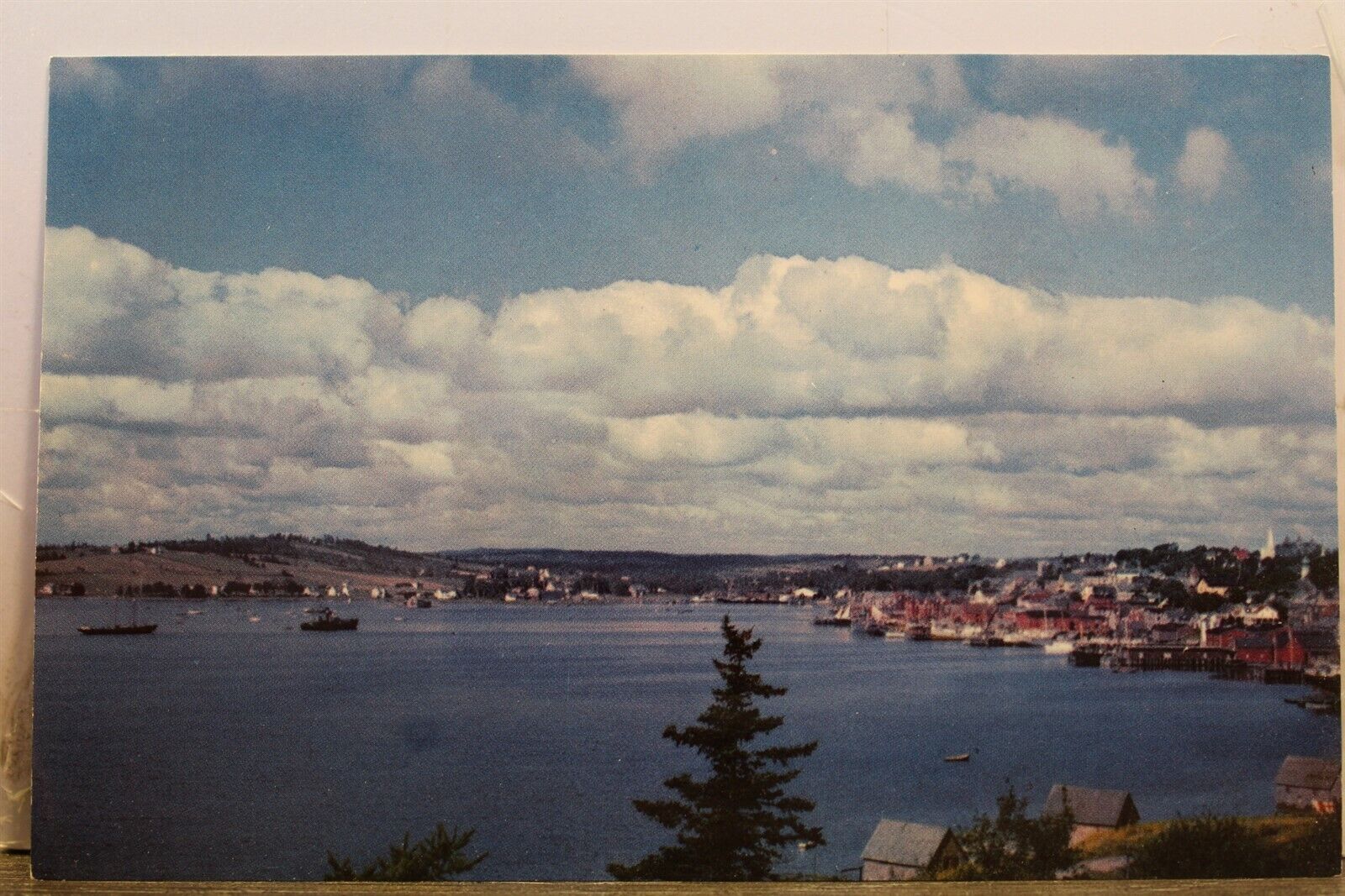 Canada Nova Scotia Lunenburg Halifax Postcard Old Vintage Card View Standard PC