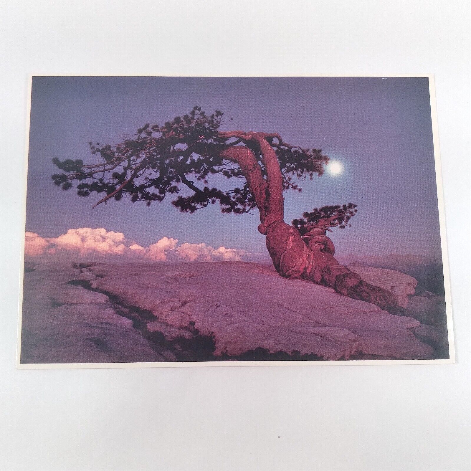 Yosemite National Pk California Jeffrey Pine Sentinel Dome Sunset Postcard c1977