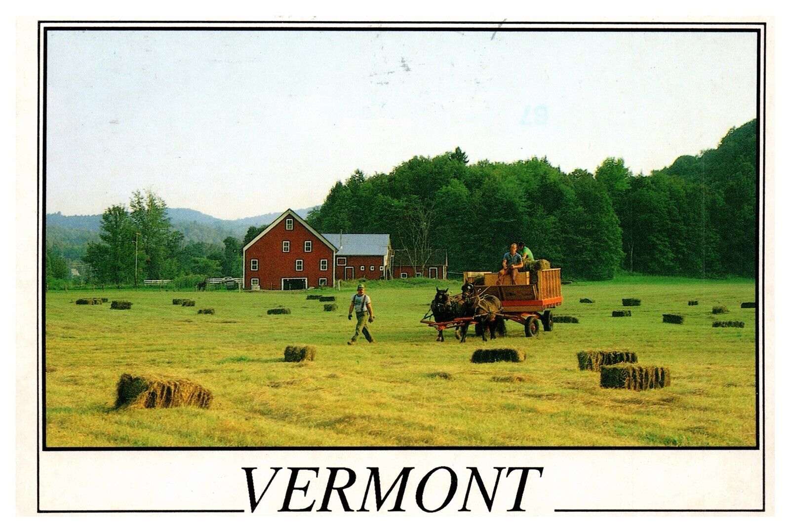Waitsfield Vermont Lareau Farm Draft Horses Farm Land Chrome Postcard Posted