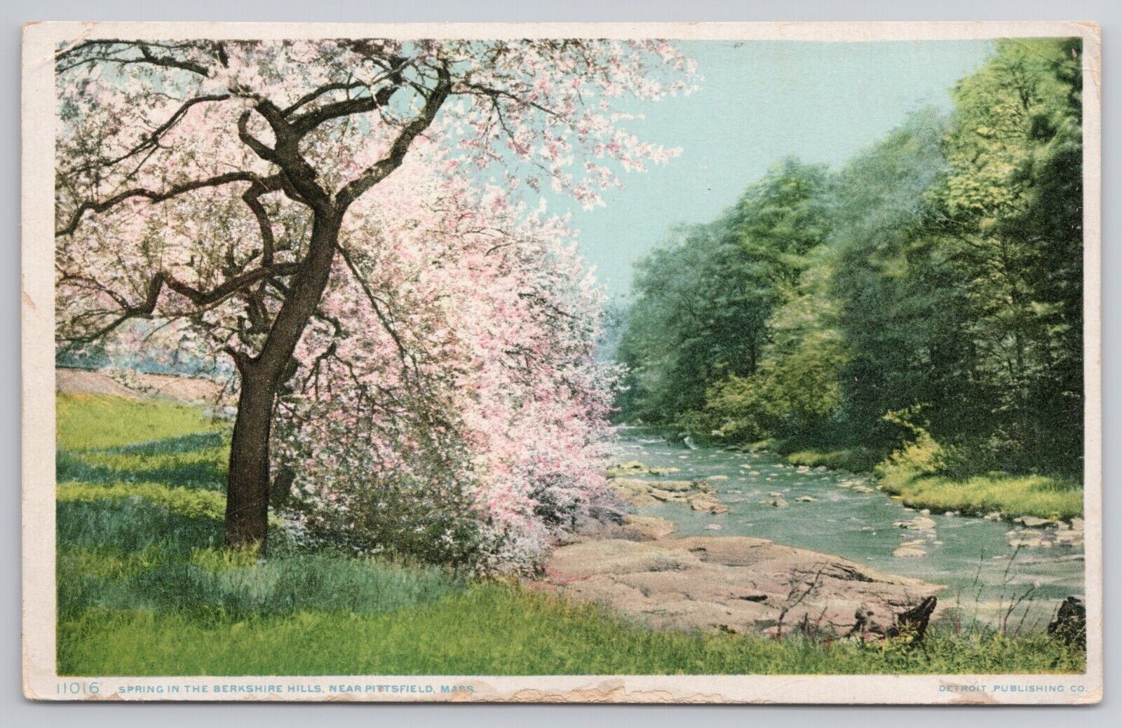 Spring In The Berkshire Hills near Pittsfield Massachusetts MA 1920s Postcard