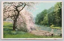 Spring In The Berkshire Hills near Pittsfield Massachusetts MA 1920s Postcard picture