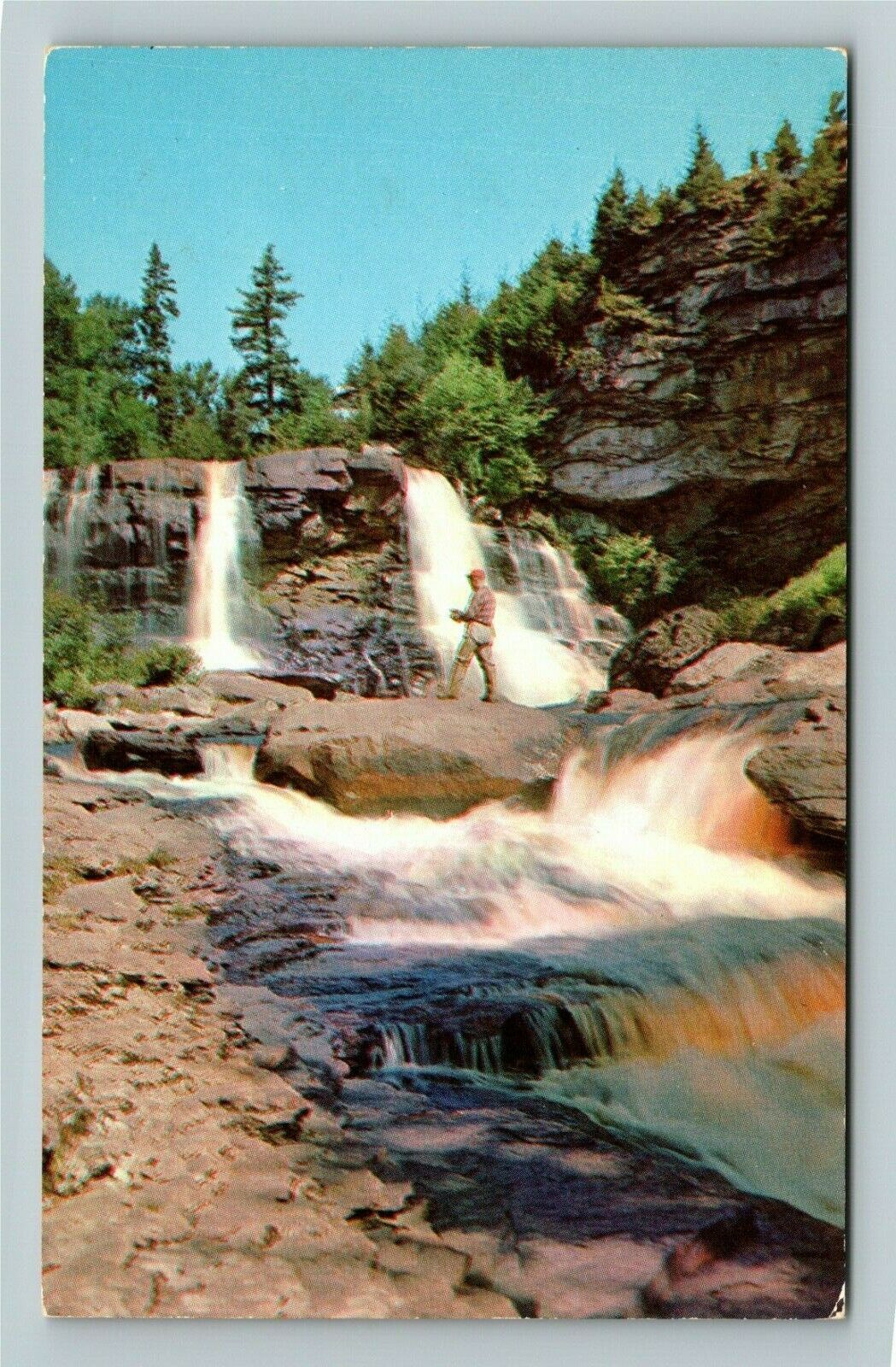 Davis WV-West Virginia, Blackwater Falls, Canaan Valley, Trails, Chrome Postcard