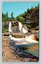 Davis WV-West Virginia, Blackwater Falls, Canaan Valley, Trails, Chrome Postcard picture
