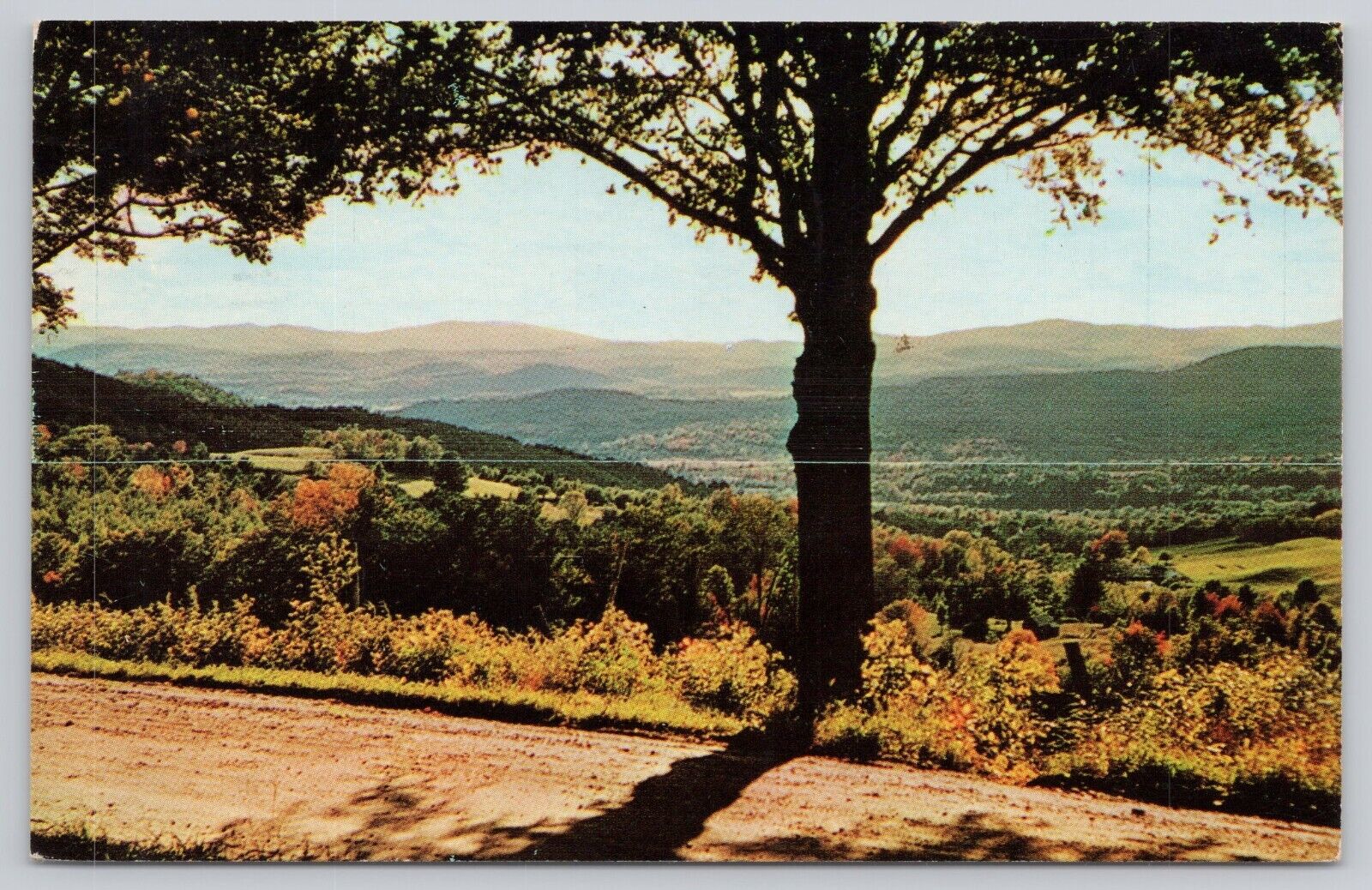 Vtg Post Card Sun and Shadows Weathersfield, Vermont C366