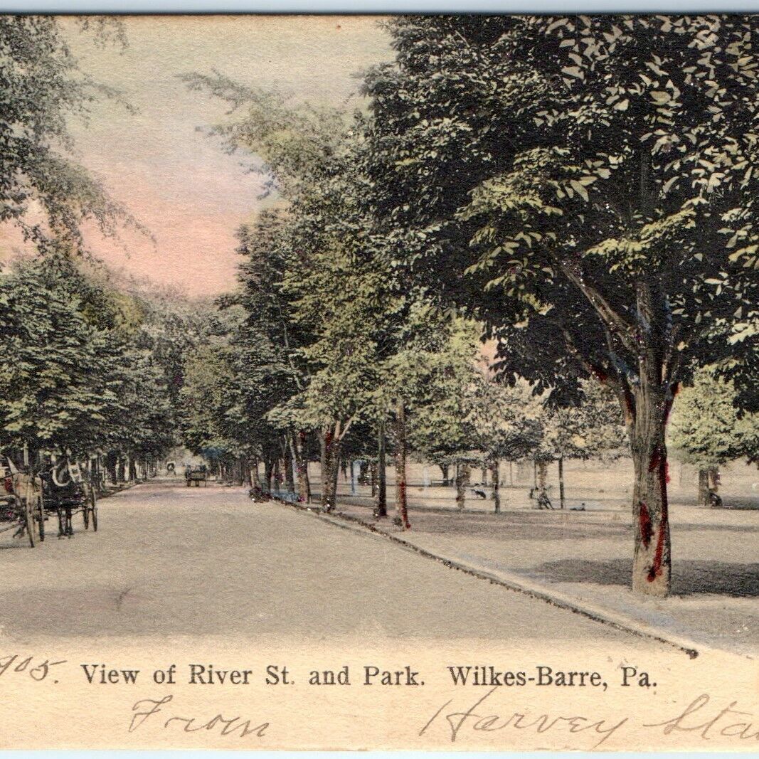 1905 Wilkes-Barre, PA River St & Park Collotype Photo PC Hand Colored & Mica A38