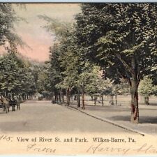 1905 Wilkes-Barre, PA River St & Park Collotype Photo PC Hand Colored & Mica A38 picture