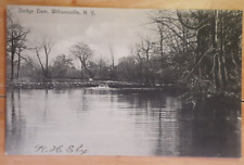 Postcard Williamsville New York Dodge Dam Water View picture