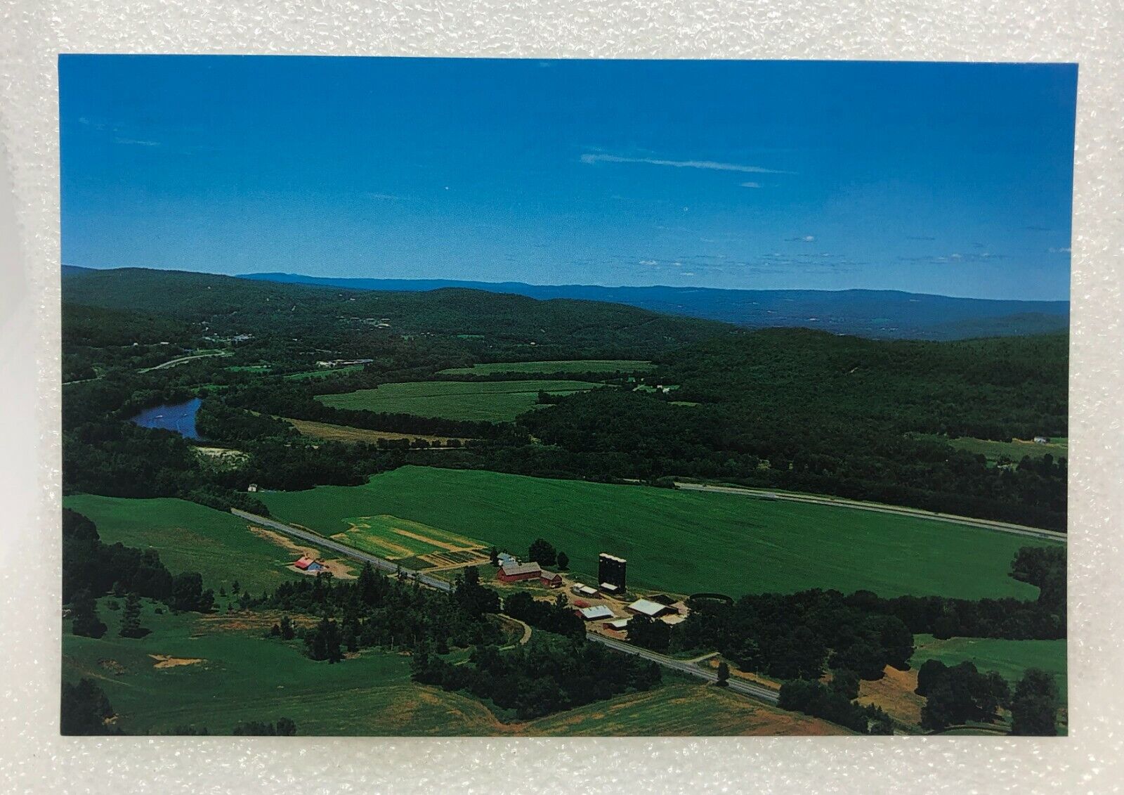 Sweet Tree Farm Dummerston Vermont Postcard