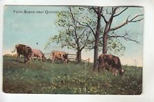 Cow Farm Scene near Quinlan OK picture
