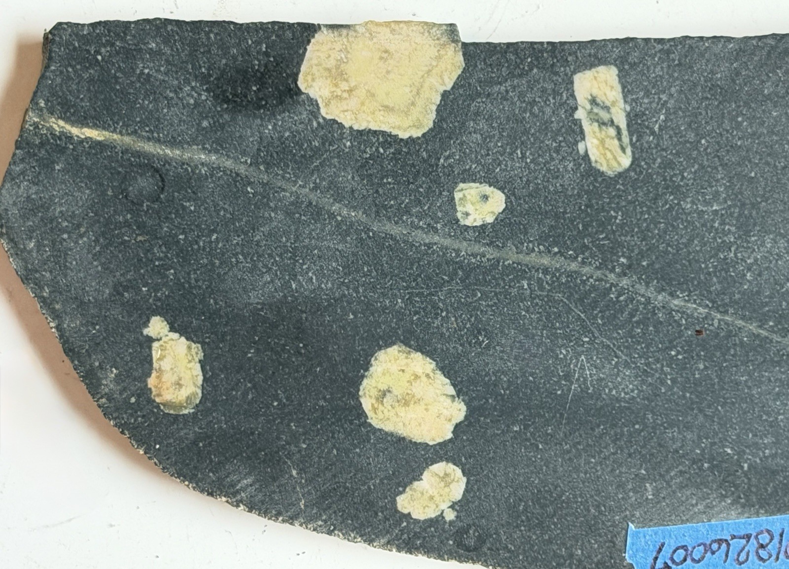 Large Sudbury Impact Melt Breccia Impactite, 1.85 bya, 203 g 18.5 x 7.5 x 0.3 cm Large Sudbury Impact Melt Breccia Impactite, 1.85 bya, 203 g 18.5 x 7.5 x 0.3 cm