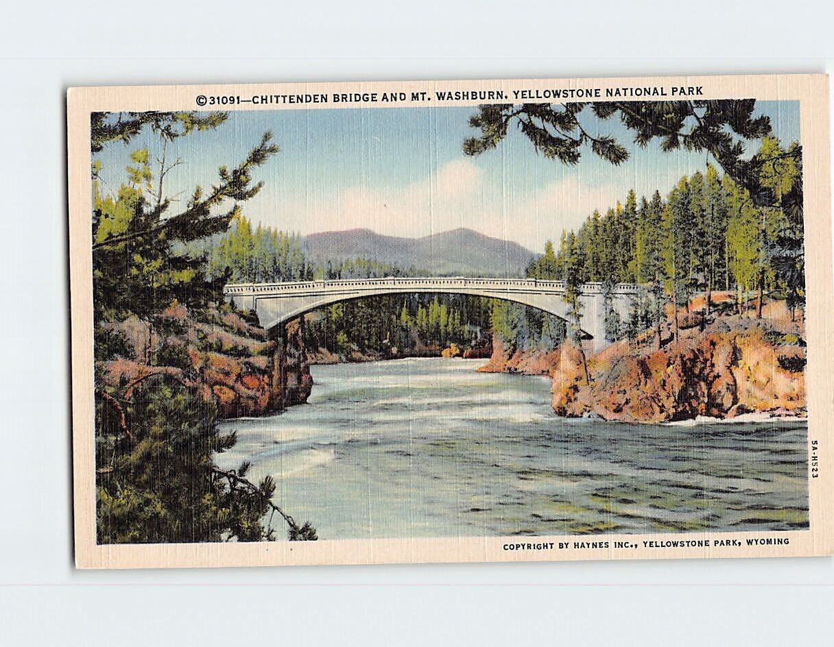 Postcard Chittenden Bridge And Mt. Washburn Yellowstone National Park Wyoming