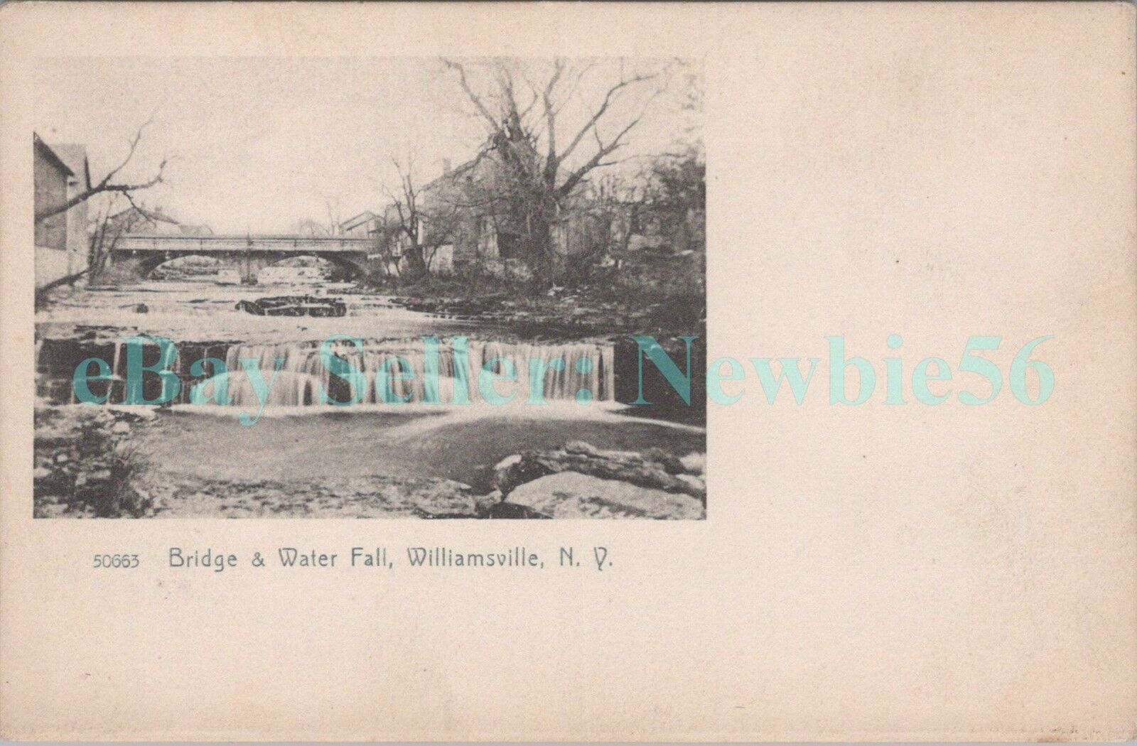 Williamsville NY - BRIDGE & WATER FALL - Postcard Erie County