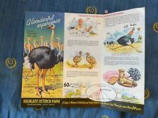 Highgate Ostrich Show Farm Oudtshoorn South Africa Vintage Guide picture