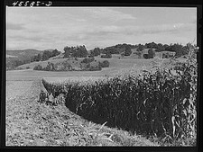 Photo:Hinesburg Vermont 1941 Harvesting Corn Farm Field FSA Photograph picture