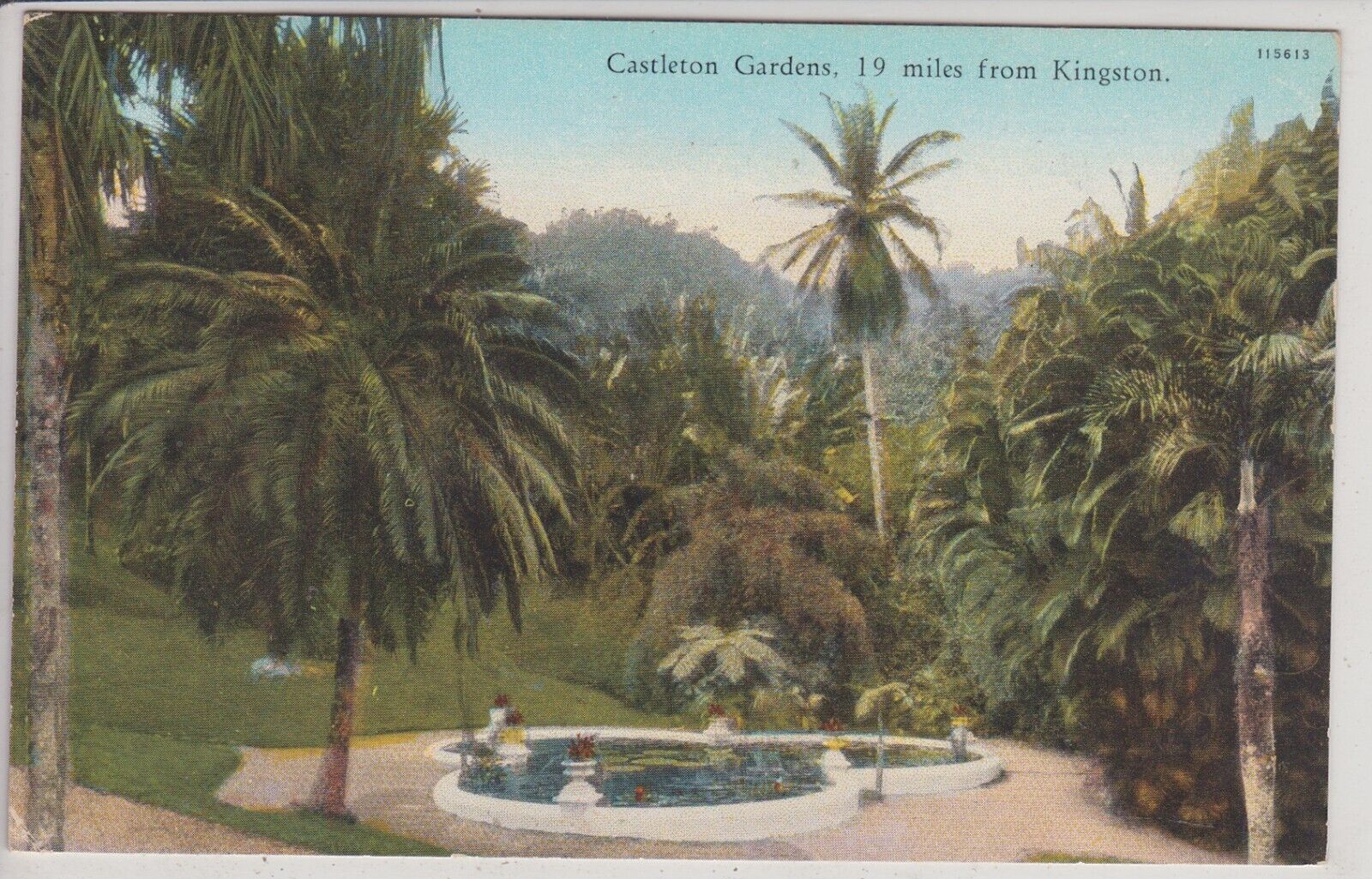 Jamaica. Castleton Garden.  Antique Postcard.