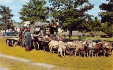 GA~GEORGIA~JEFFERSONVILLE~GOAT MAN CHESS MCCARTNEY HAS TRAVELED 80K MILES picture