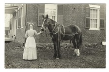Williamsville Vermont c1910 RPPC VT Woman & Work Horse Porter C Thayer  Postcard picture