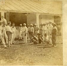 Cuba: Plantation Slaves, Indian Laborers & Whites 1860 G Barnard/Anthony CW064 picture