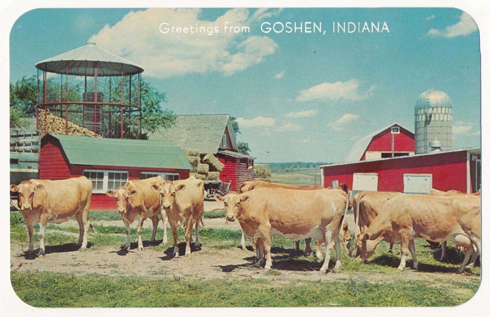 Vintage Postcard Greetings from Goshen, Indiana