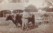 POMFRET, CT, MAN POSING WITH HIS 2 NEW OXEN ATTACHED TO CARRIAGE RPPC used 1914 picture