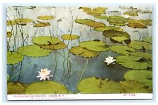 Waterlilies Lake Queechy Canaan NY Columbia County New York Postcard A12 picture