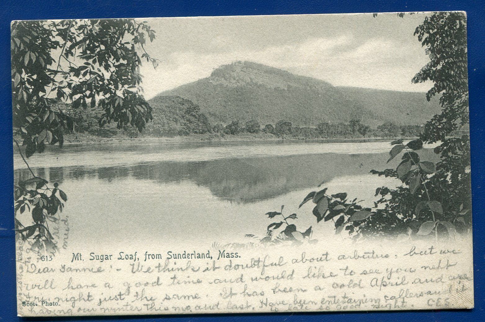 Mt Sugar Loaf from Sunderland Massachusetts mass ma postcard