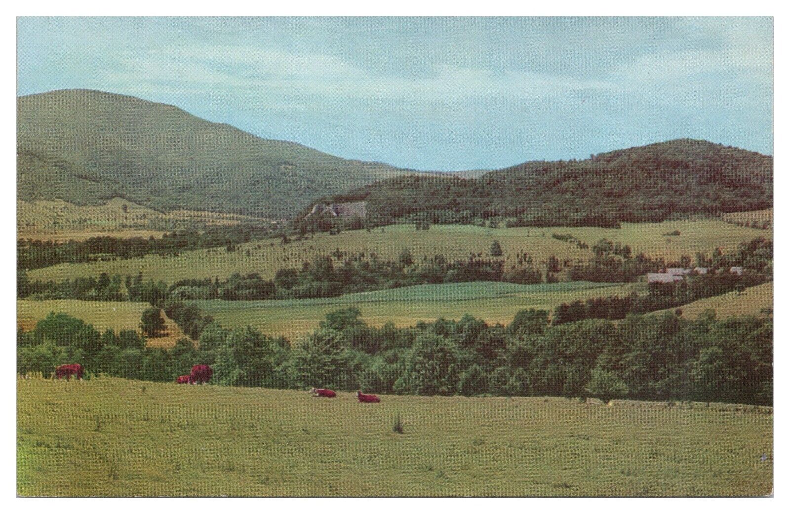 Vintage Pownal Valley Southwestern Vermont Postcard Unused Chrome