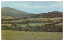 Vintage Pownal Valley Southwestern Vermont Postcard Unused Chrome picture