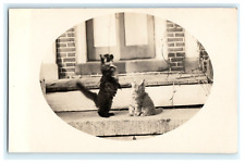 Cute Cats kittens Domestic Porch RPPC Early View Porter Thayer Williamsville VT picture