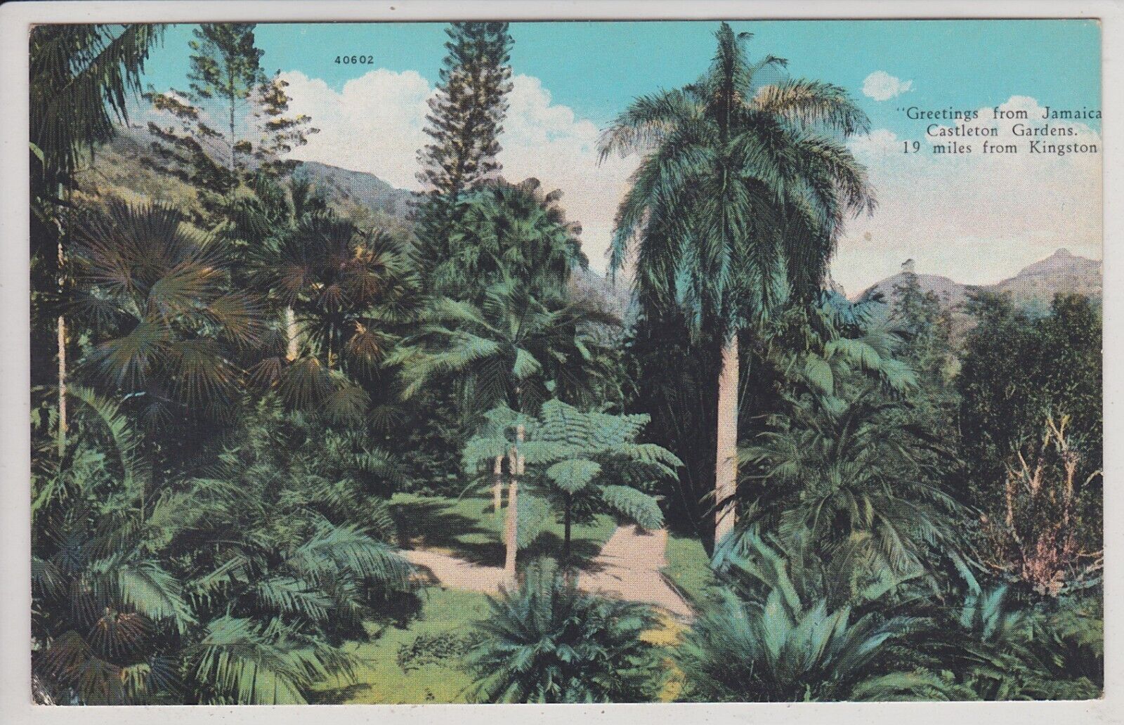 Jamaica. Castleton Garden. 19 Miles from Kingston. Antique Postcard.