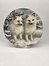 Royal Grafton Artic Fox Cubs Bradex Collector Plate . Decorative  picture